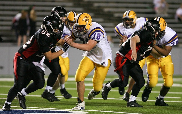 在森林狼与 在森林狼与