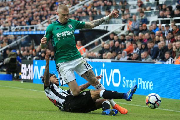 在他们的身 在他们的身